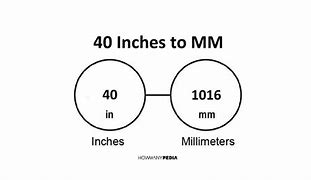 Image result for 40 Inch Hair Baddies