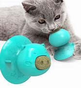 Image result for Organic Catnip Toys