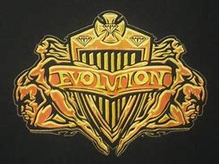 Image result for WWE WWF Evolution Actionfigures Shirts