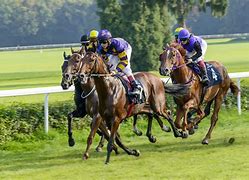 Image result for Horse Racing Pictures Free