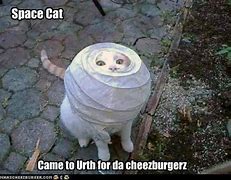 Image result for Spae Cat Meme