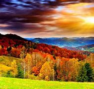 Image result for Scenic View Wallpaper