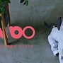 Image result for Aibo Colors