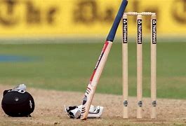 Image result for Kookabura Cricket Equipment