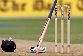 Image result for Cricket Sport Wicket