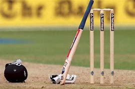 Image result for Cricket Gear