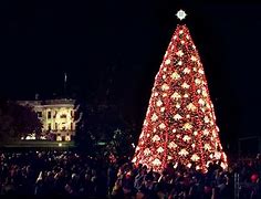 Image result for White House at Night at Christmas at Night