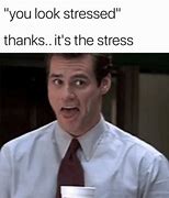 Image result for Don't Stress Meme