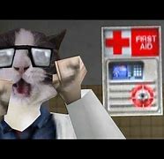 Image result for Half-Life Cat Meme