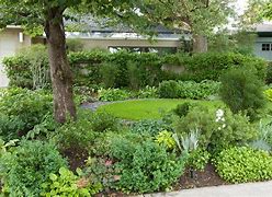 Image result for Front Yard Shade Garden