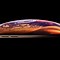 Image result for iPhone XS Max Screen Dock Labeled