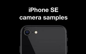 Image result for iPhone SE 2020 Camera Samples