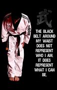 Image result for Martial Arts Belts Quotes