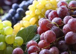 Image result for Grape Varieties