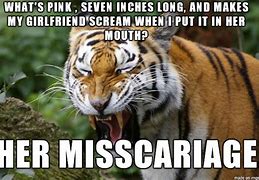Image result for Funny Tiger Memes Clean