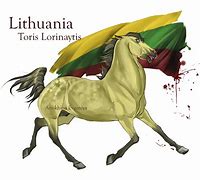 Image result for Aph Horse