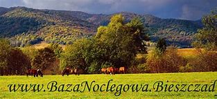 Image result for bazanoclegowa.pisz.pl