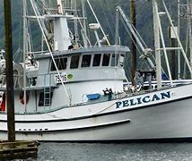 Image result for Pelican Get Away 116