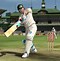 Image result for Cricket Bat Ball Background