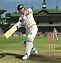 Image result for Cricket Game Images