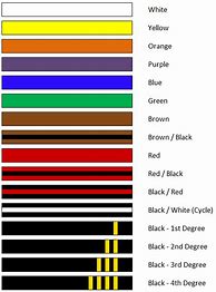 Image result for Martial Arts Belt Ranking Colors
