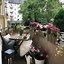 Image result for Cozy Balcony