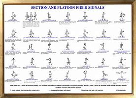 Image result for British Military Hand Signals