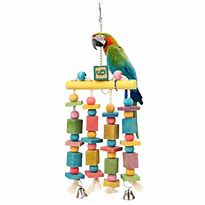 Image result for Stainless Parrot Toys