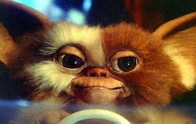 Image result for Gremlins Movie