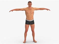 Image result for Human T Pose