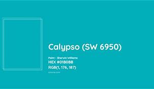 Image result for Calypso Merlot Paint Color