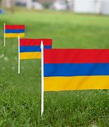 Image result for Armenian Flag