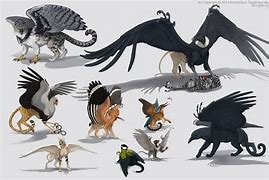 Image result for Different Types of Griffin's