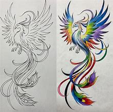 Image result for Fenix Bird Drawing