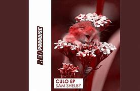 Image result for cub�culo