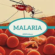 Image result for Malaria