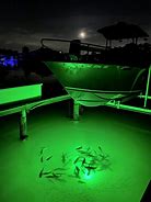 Image result for Underwater Lamp