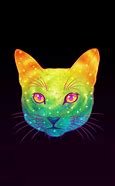 Image result for Galaxy Kitten