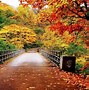Image result for Autumn Desktop Background HD
