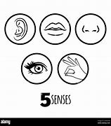 Image result for Five Senses Illustration