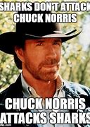 Image result for Chuck Norris Shark Meme