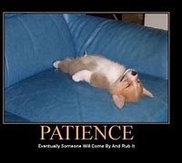 Image result for Have Patience Funny