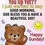 Image result for Best Happy Sunday Memes