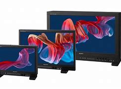 Image result for Sony LCD Computer Monitor