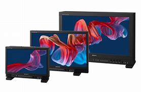 Image result for Sony 24Dk1300 Monitor
