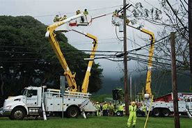 Image result for Hawaiian Electric