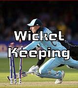 Image result for Wicket Keeping Stock Images