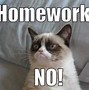 Image result for Memes About University Homwork