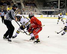 Image result for Michigan Hockey Goal