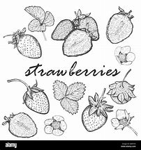 Image result for 7 Strawberries